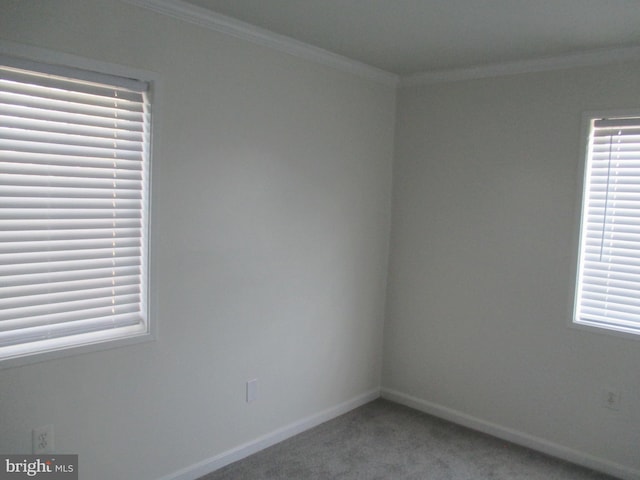 unfurnished room featuring carpet floors and crown molding