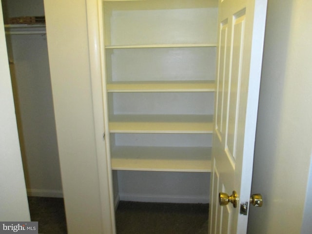 view of closet