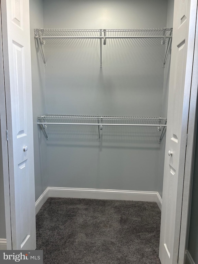 walk in closet with dark colored carpet