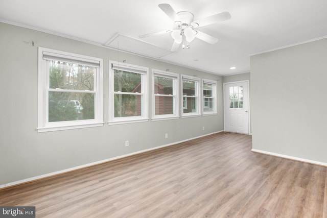 spare room featuring ceiling fan and light hardwood / wood-style flooring