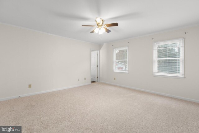 carpeted spare room with ceiling fan and crown molding