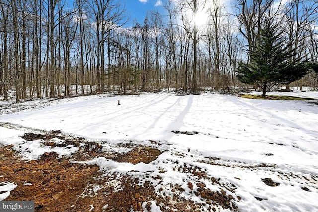 view of yard layered in snow