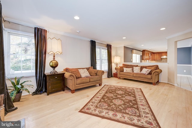 living room featuring light hardwood / wood-style flooring and crown molding