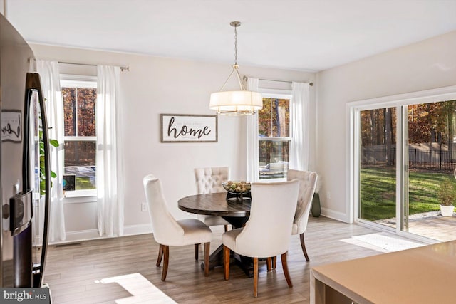 dining room featuring a chandelier, a healthy amount of sunlight, and light wood-type flooring