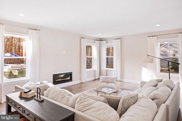 living room featuring light hardwood / wood-style floors and a healthy amount of sunlight