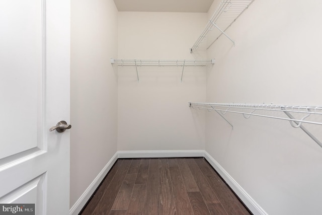 walk in closet featuring wood-type flooring