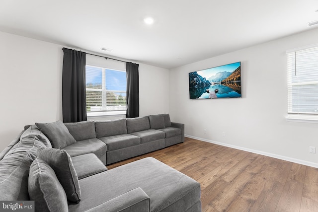 living room featuring hardwood / wood-style floors