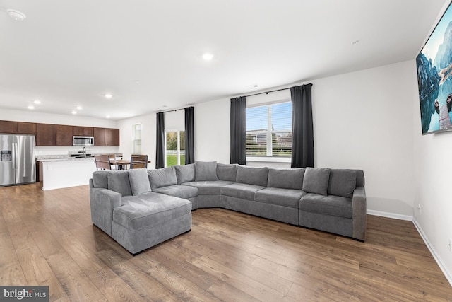 living room featuring wood-type flooring