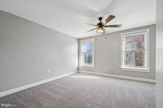 spare room with carpet flooring and a wealth of natural light