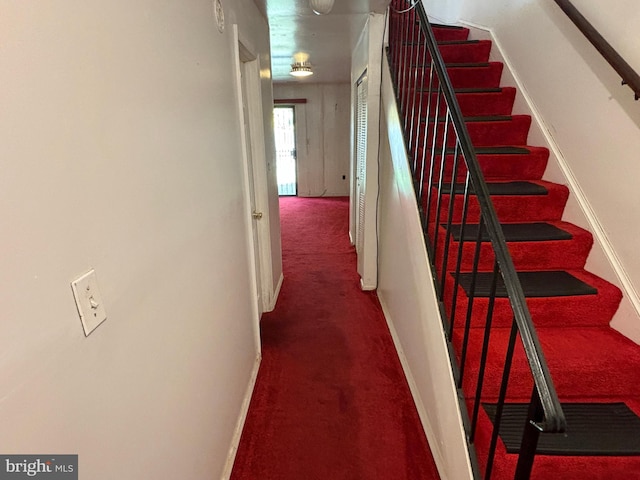 stairs with carpet