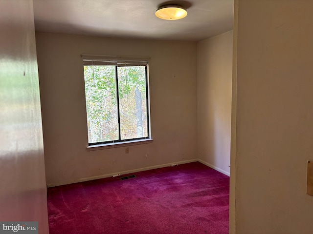 empty room featuring a wealth of natural light and carpet floors