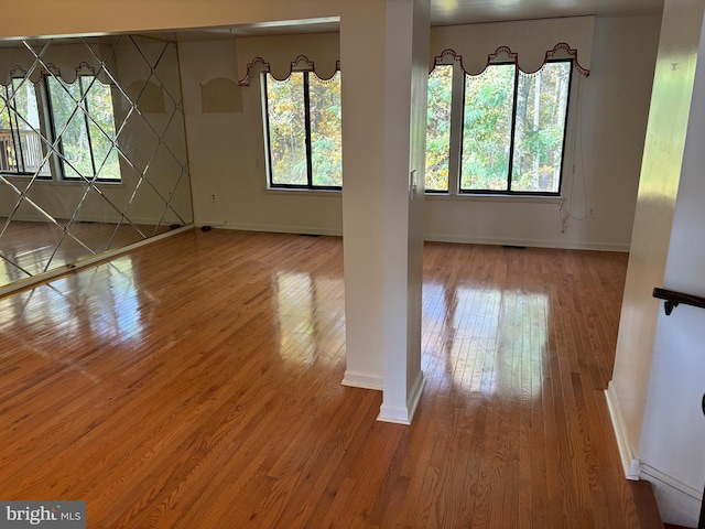 interior space featuring a healthy amount of sunlight and light hardwood / wood-style flooring