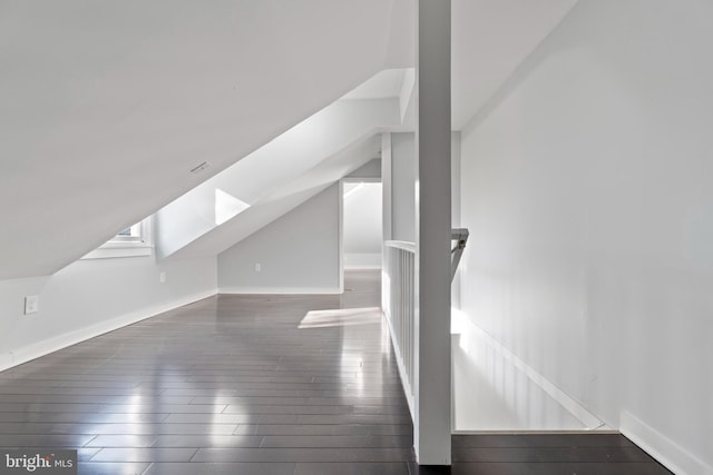 additional living space featuring a skylight and dark hardwood / wood-style flooring