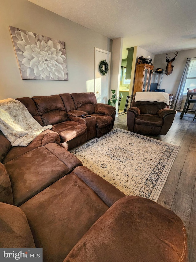 living room featuring a textured ceiling and hardwood / wood-style flooring