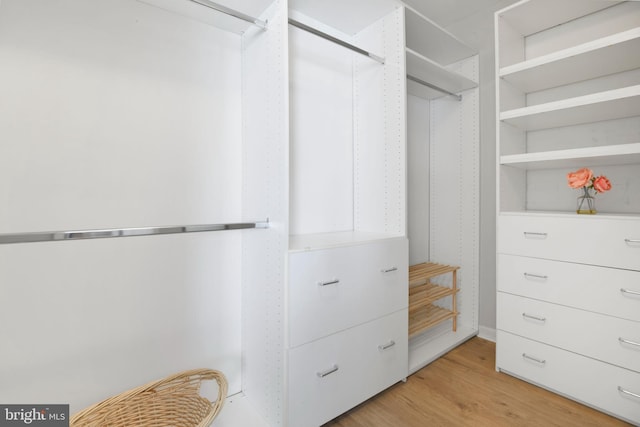 9404 Brigadoon Way, Frederick, MD 21704 - walk in closet featuring light wood finished floors
