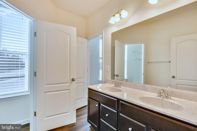 bathroom featuring vanity and hardwood / wood-style floors