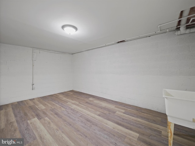 basement featuring wood-type flooring