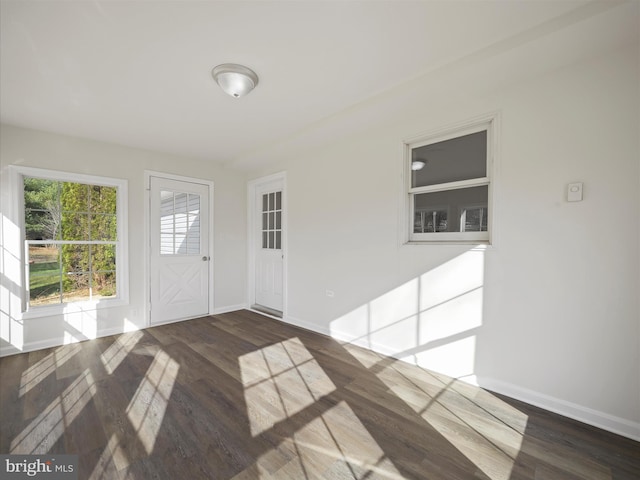 entryway featuring dark hardwood / wood-style flooring