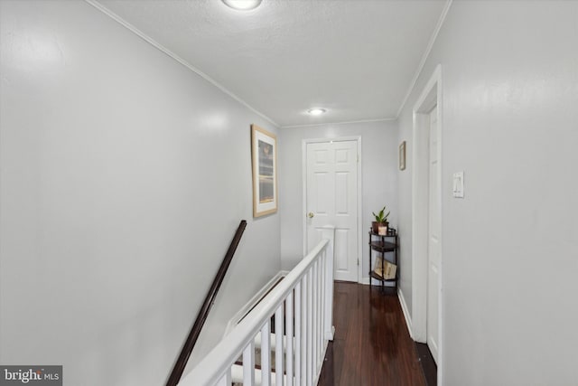 hallway featuring crown molding and dark hardwood / wood-style flooring