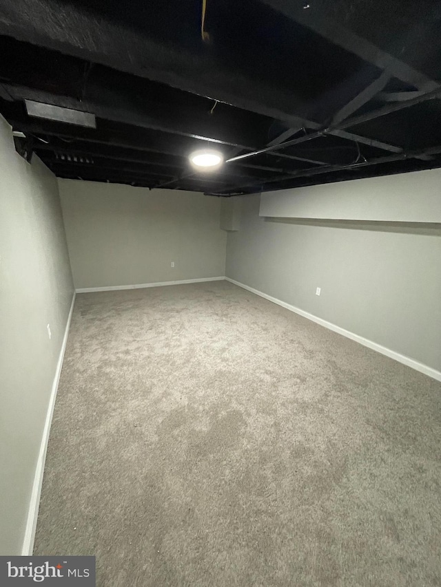 basement featuring carpet flooring