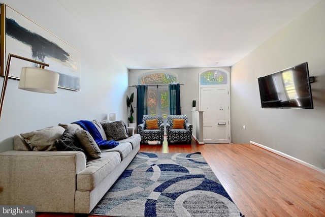 living room with wood-type flooring