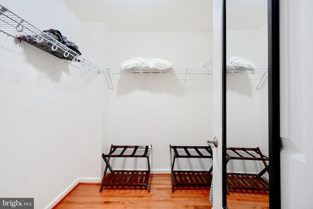 walk in closet featuring hardwood / wood-style floors