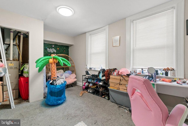 recreation room featuring carpet floors