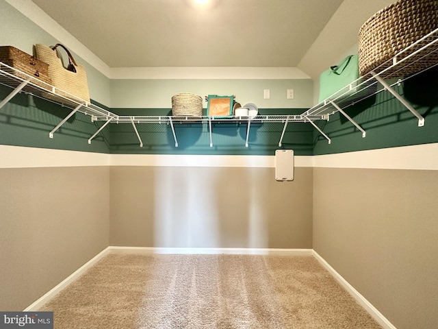 walk in closet with carpet flooring