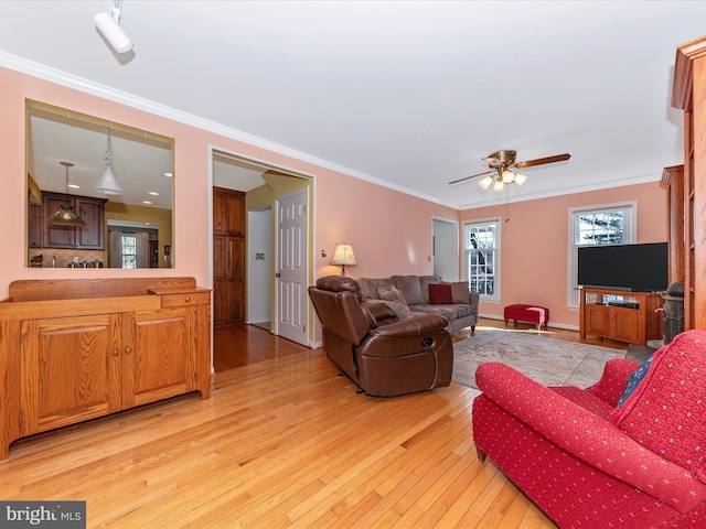 living room with ornamental molding and light hardwood / wood-style flooring