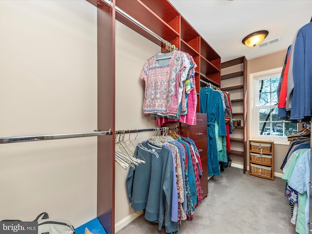 spacious closet featuring carpet