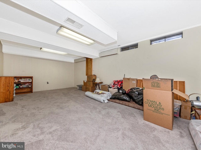 basement with light carpet