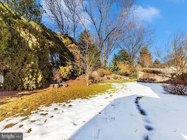 view of yard covered in snow