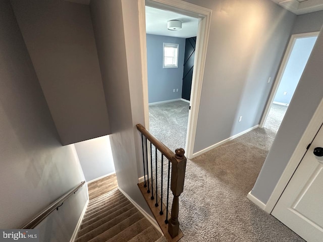 2040 Jelena Rd, Shippensburg, PA 17257 - stairs featuring carpet floors and baseboards