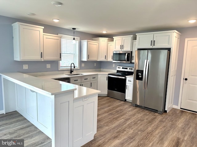 2040 Jelena Rd, Shippensburg, PA 17257 - kitchen featuring stainless steel appliances, a sink, a peninsula, light countertops, and light wood-style floors