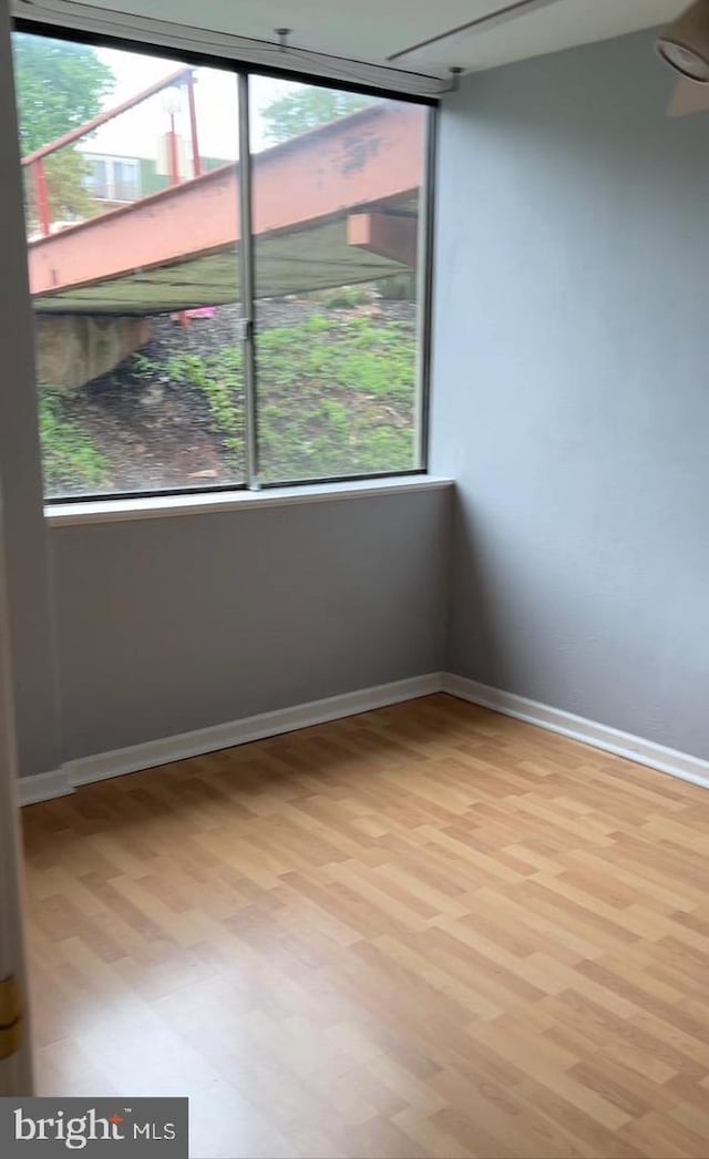 empty room featuring a wealth of natural light and light hardwood / wood-style flooring