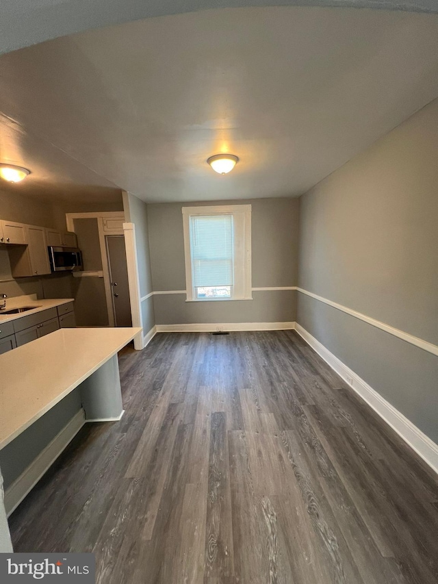 interior space featuring dark wood-type flooring and sink