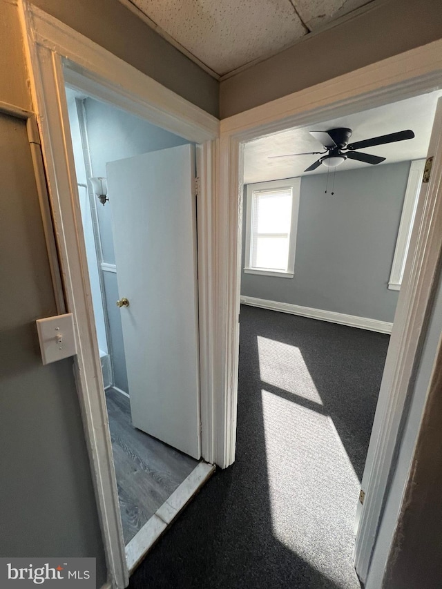 hallway featuring carpet flooring