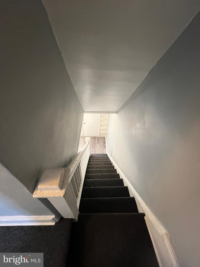 staircase with hardwood / wood-style flooring