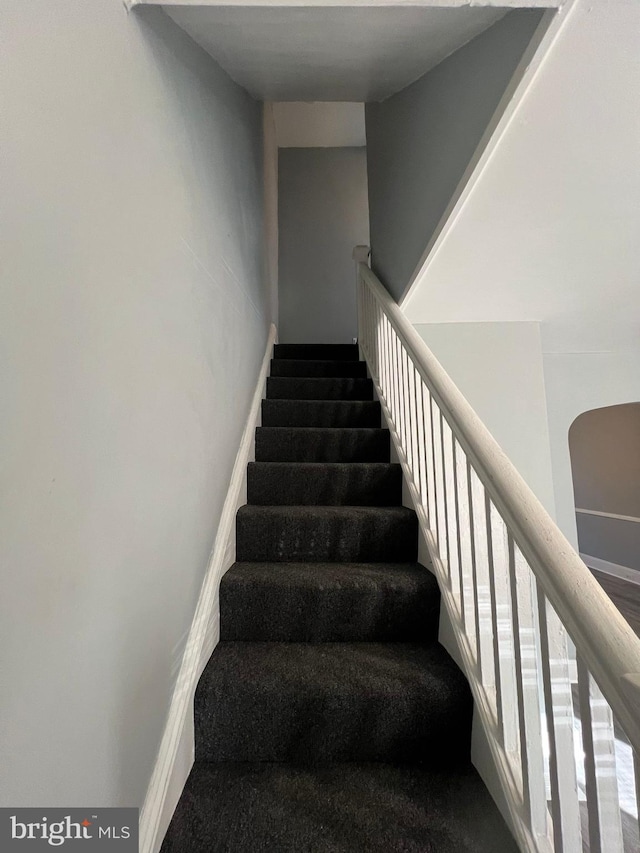 staircase with carpet flooring