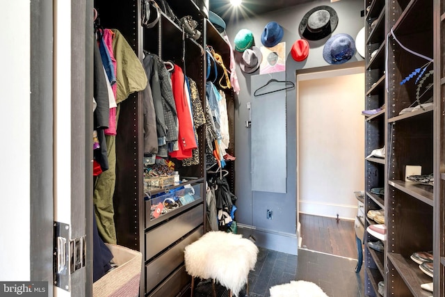 spacious closet featuring dark wood-type flooring