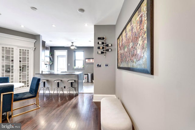 interior space with ceiling fan and dark wood-type flooring