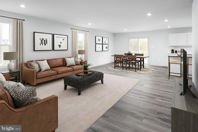 living room with light hardwood / wood-style floors and a healthy amount of sunlight