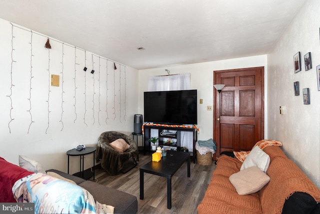 living room with hardwood / wood-style floors