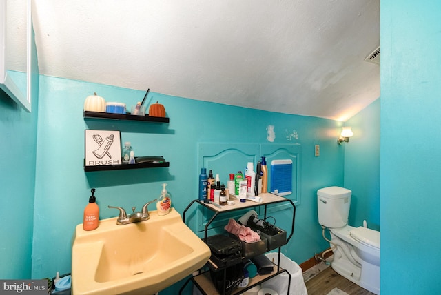 bathroom with wood-type flooring, sink, lofted ceiling, and toilet