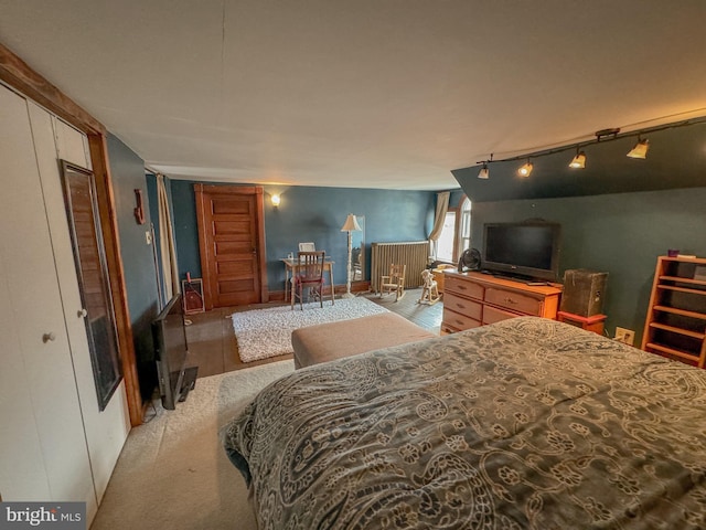 bedroom with a closet and track lighting