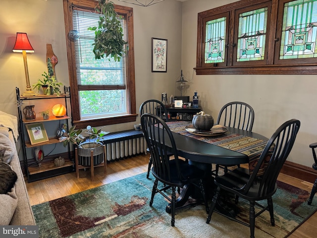 dining room with hardwood / wood-style flooring