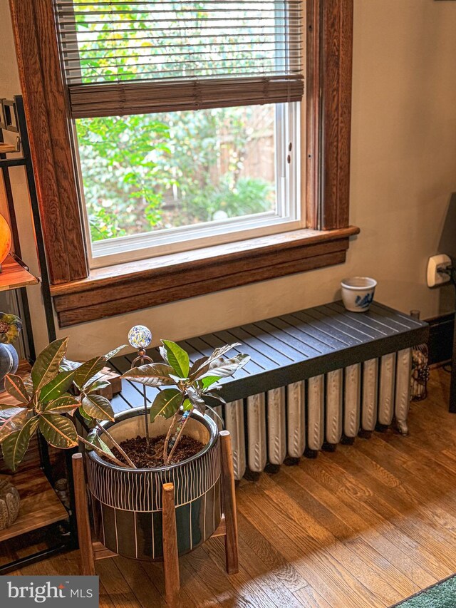 bedroom featuring hardwood / wood-style floors and multiple windows