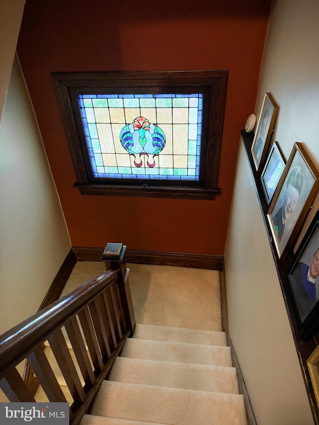 staircase with carpet flooring