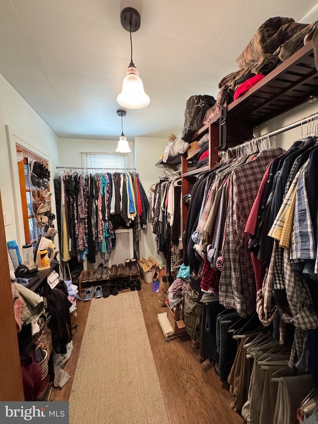 spacious closet featuring hardwood / wood-style flooring