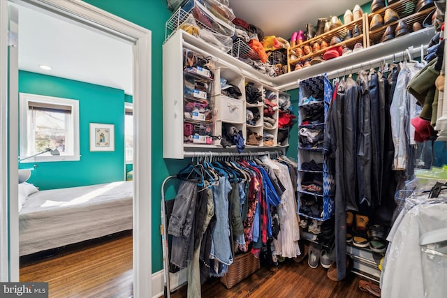 walk in closet featuring wood-type flooring